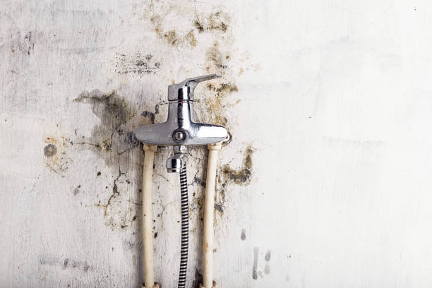 Best Residential Mold Remediation in Hoschton, GA
