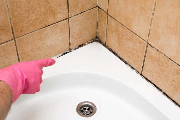 Hoschton, GA Mold Remediation Company